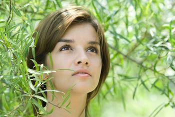 �������Ƽ�����Ƶ�������ٷ�����׷���ٳ�3�� �������ʿ��ֶᵶ(ͼ)...